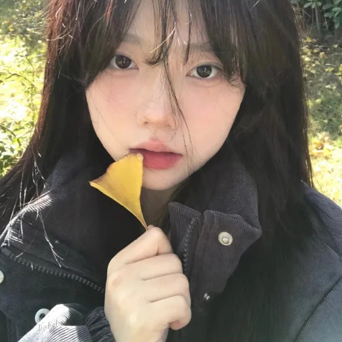布达佩斯的天使