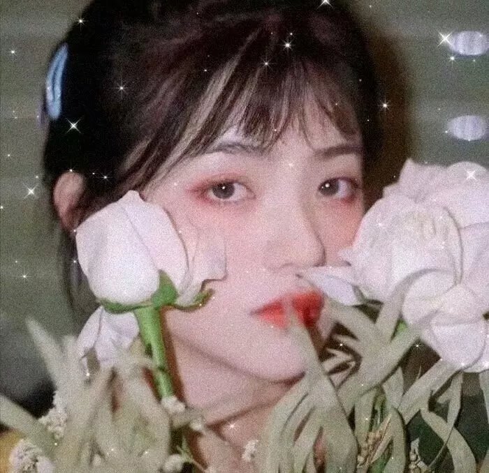 上流秘笈